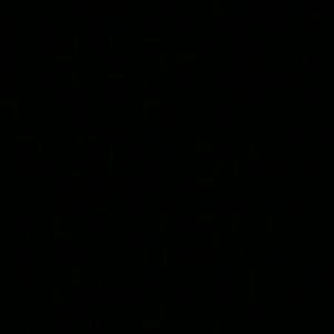 Meet your Posher, Koko