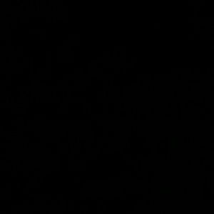 Meet your Posher, Roberto