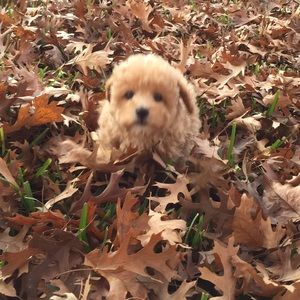 Meet your Posher, Katelyn