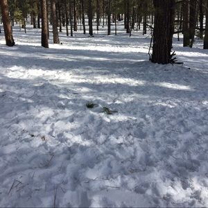 Meet your Posher, Gabriela