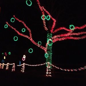 Meet your Posher, Marlene