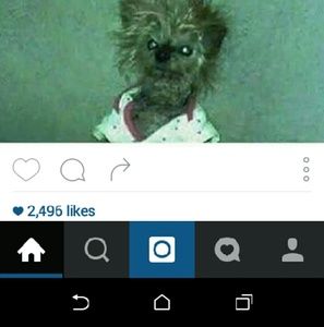 Meet your Posher, Brianna