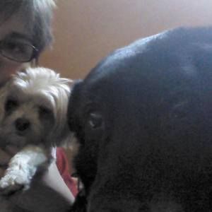 Meet your Posher, Julianna