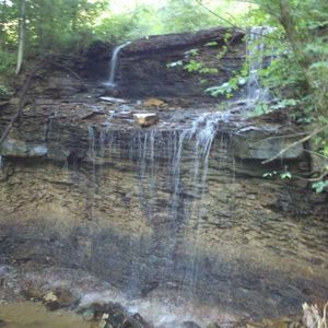 Meet your Posher, Tabitha