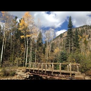 Meet your Posher, Claire