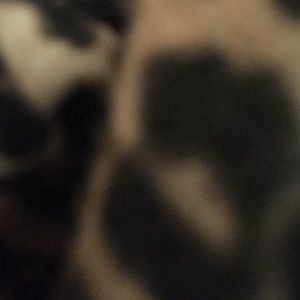 Meet your Posher, Jordan