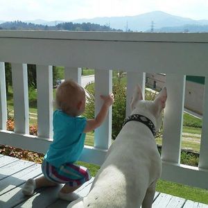 Meet your Posher, Toni