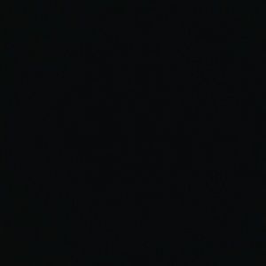 Meet your Posher, Tess