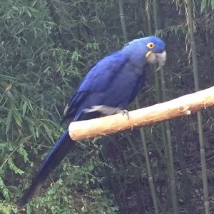 Meet your Posher, Svetlana