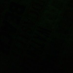 Meet your Posher, Abbie