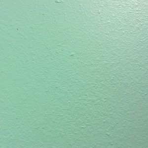 Meet your Posher, Bailey