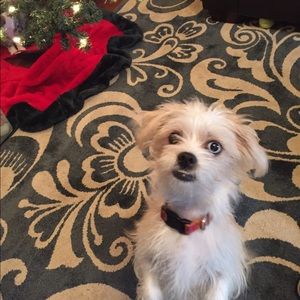 Meet your Posher, Erica