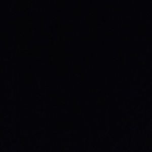 Meet your Posher, Shauna