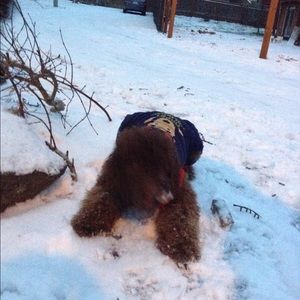 Meet your Posher, Chihaya