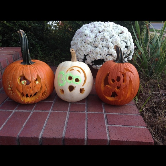 Meet your Posher, Chelsey - Picture 1 of 1