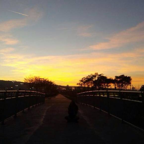 Meet your Posher, Bella