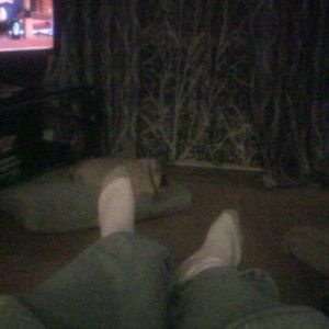 Meet your Posher, Kevin