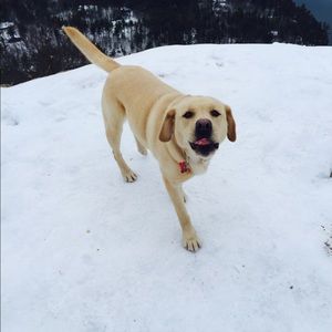 Meet your Posher, Brooke