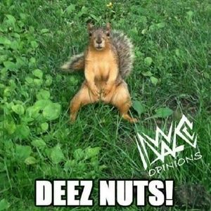 Meet your Posher, Blaze