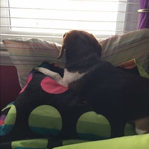 Meet your Posher, Colleen