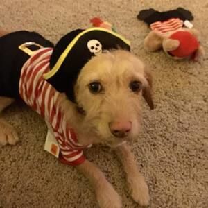 Meet your Posher, Sue