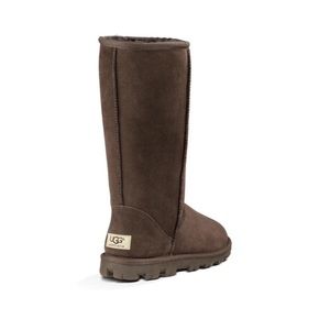 Chocolate Essential Uggs : Tall