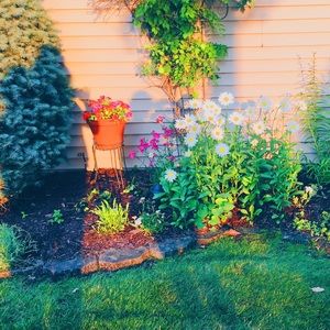 Meet your Posher, Cassidy