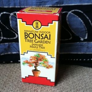 Bonsai tree lot