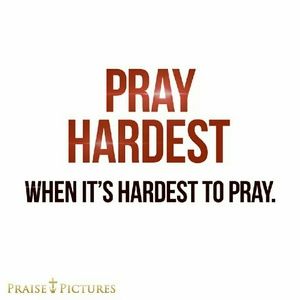 Meet your Posher, Erics