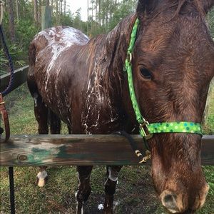 Meet your Posher, Sage