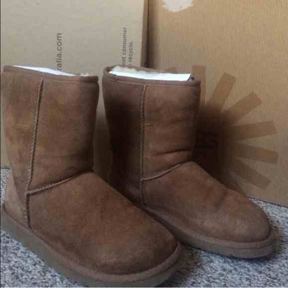 Chestnut ugg boots