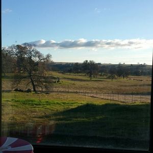 Meet your Posher, Carrie