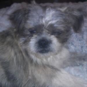 Meet your Posher, Lavonne