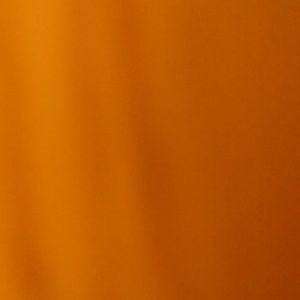 Meet your Posher, Mina