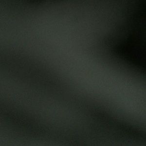 Meet your Posher, Jacquelyn