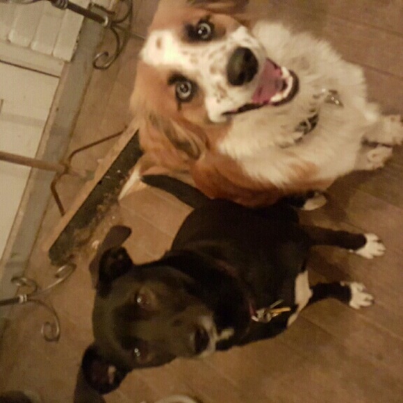 Meet your Posher, Megan