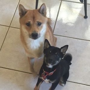 Meet your Posher, Katherine