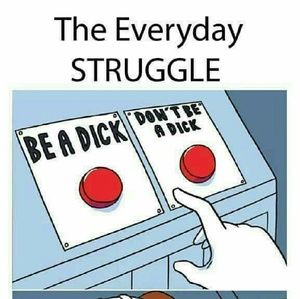 Meet your Posher, Lloyd