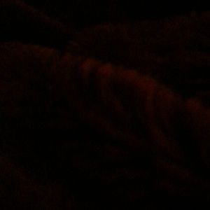 Meet your Posher, Monique