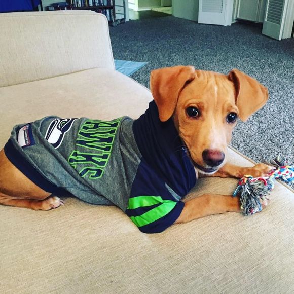 Meet your Posher, Christopher - Picture 3 of 4