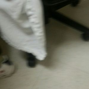 Meet your Posher, Patti