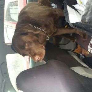 Meet your Posher, Peggy