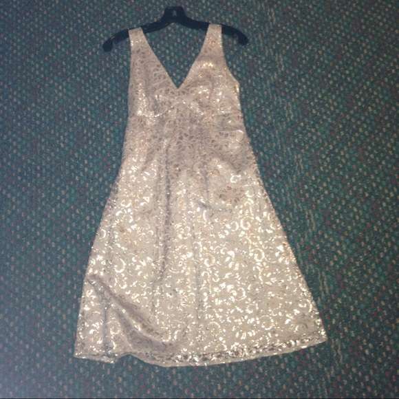 Silver lace dress