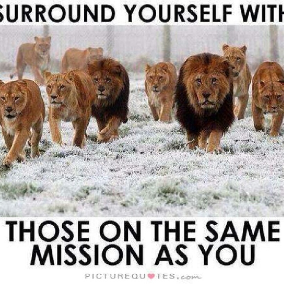 My Closet Quotes - Picture 3 of 3