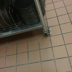 Meet your Posher, Luz