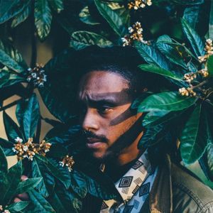 Meet your Posher, Alexander