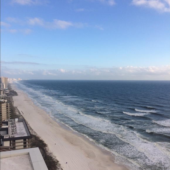 Meet your Posher, Shelby - Picture 2 of 2