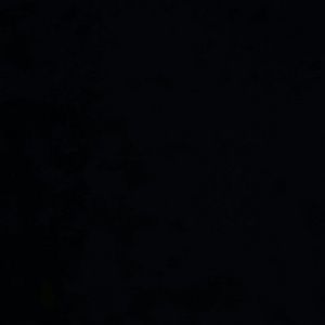 Meet your Posher, Adriana