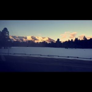 Meet your Posher, Ryan