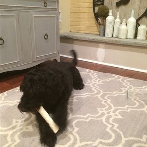 Meet your Posher, Morgan